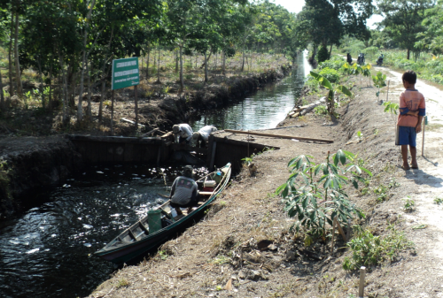 Farmers close a water gate after riding their sampan through a ditch next to a rubber plantation in Jabiren village, Pulang Pisau district on Sept. 26, 2013. (JG Photo/Erwida Maulia)