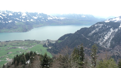 Lake Thun, seen from a hilltop in Interlaken.